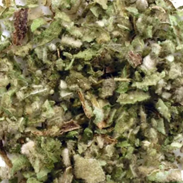 Mullein Leaf (Verbascum thapsus) 35gms