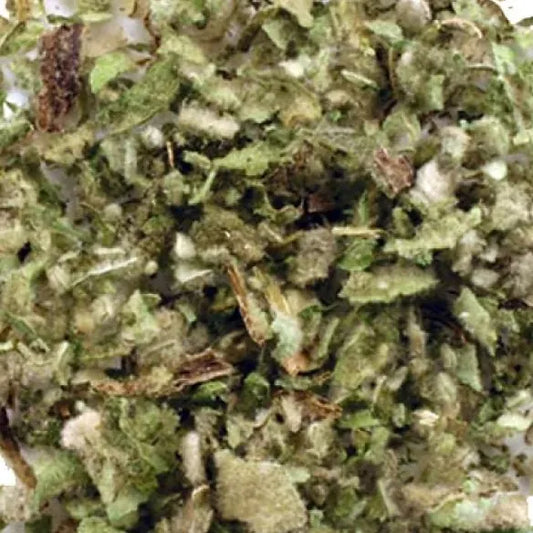 Mullein Leaf (Verbascum thapsus) 35gms